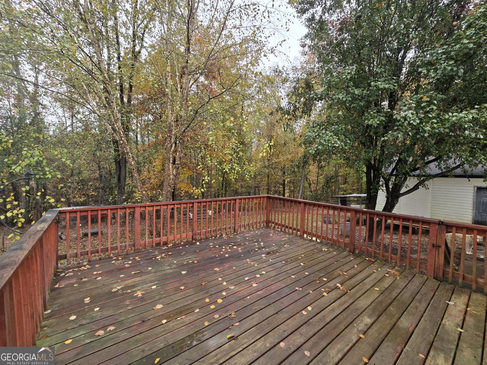 338 Day Street Molena - Photo 8