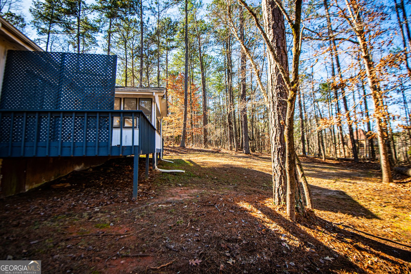10029 Burford Court Villa Rica - Photo 38