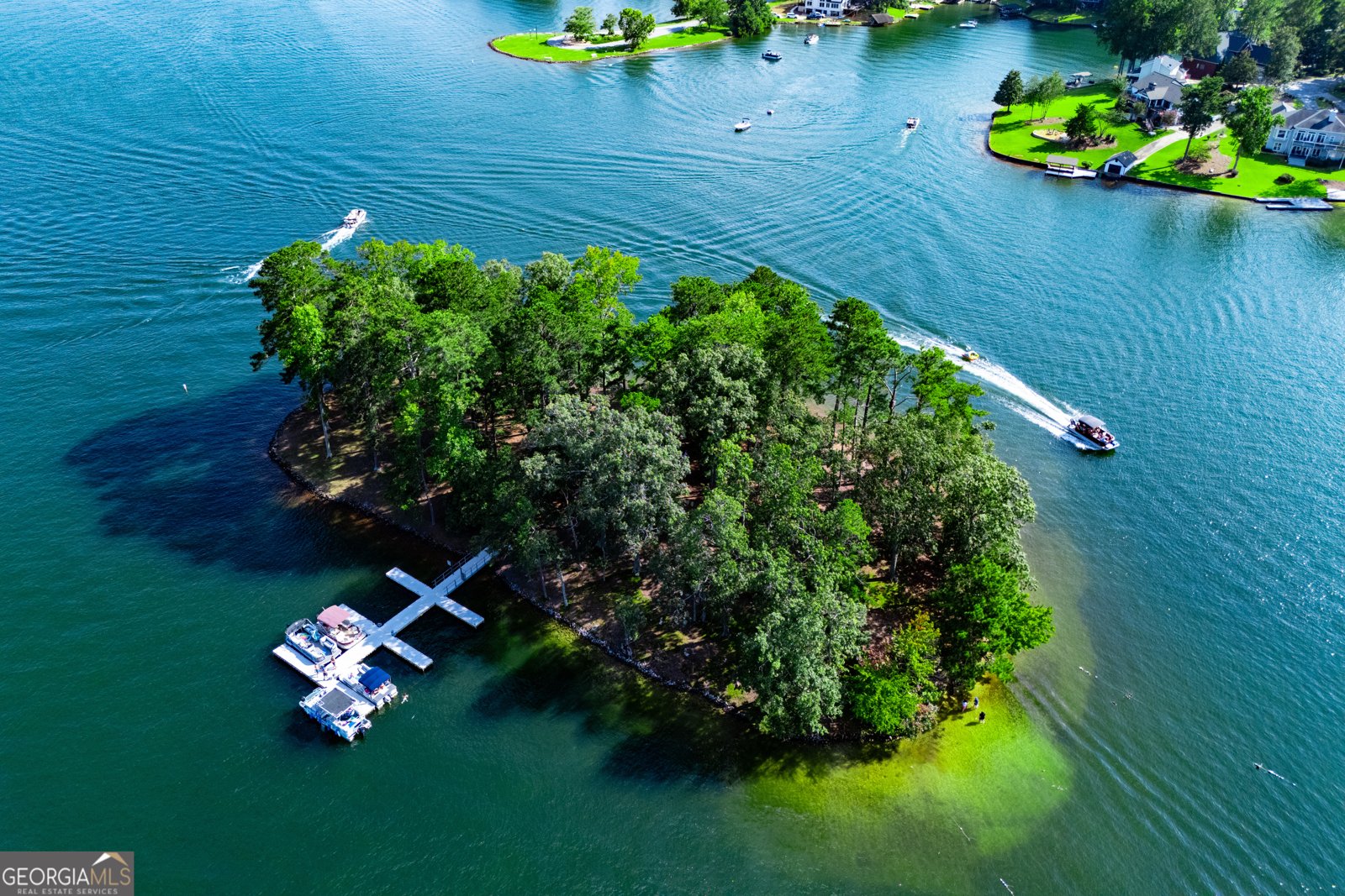 10029 Burford Court Villa Rica - Photo 76