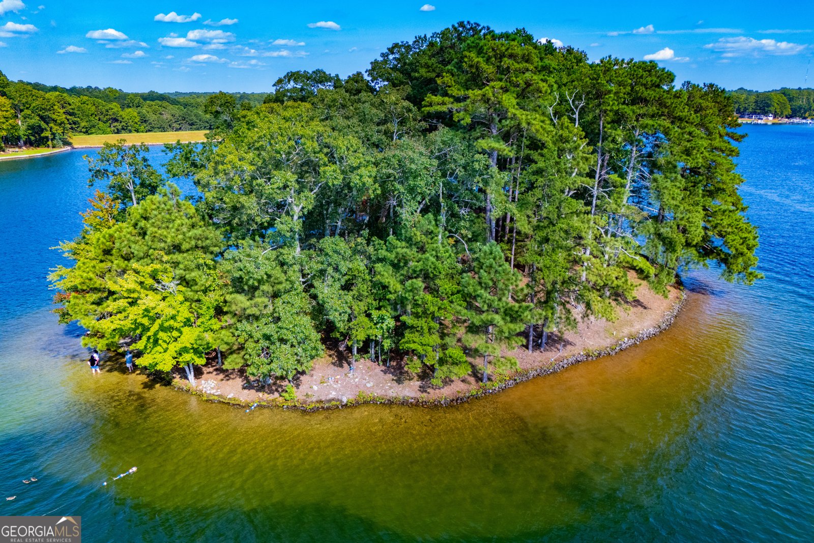 10029 Burford Court Villa Rica - Photo 77