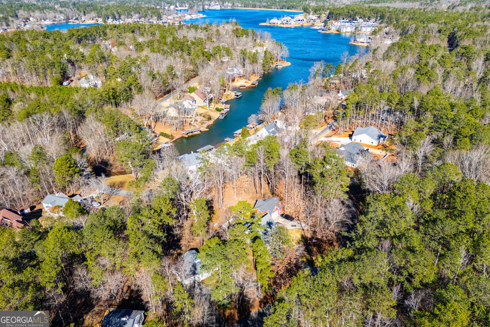 10029 Burford Court Villa Rica - Photo 80