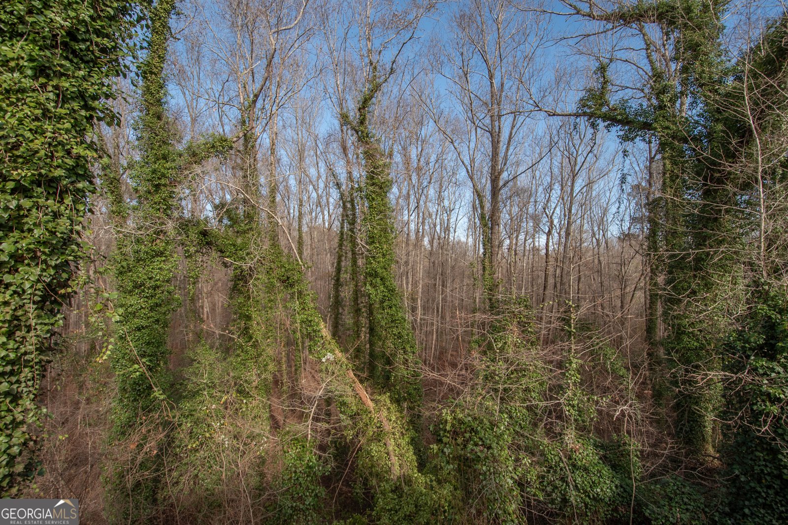 151 Evans Road Milner - Photo 52