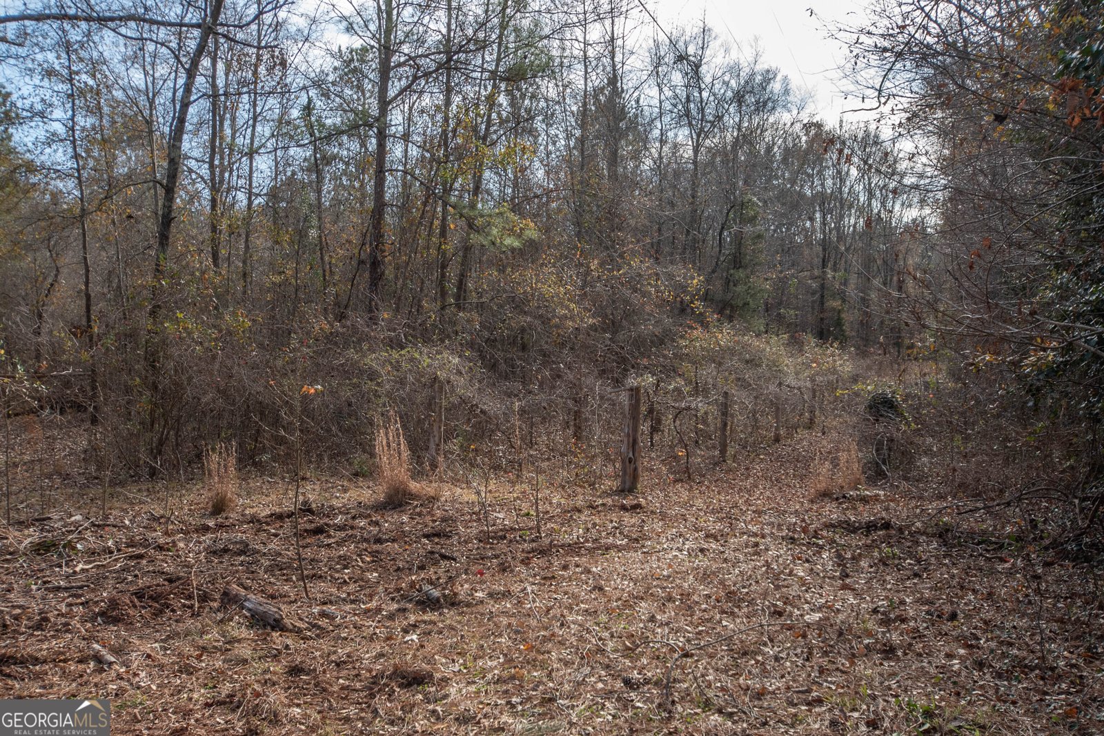 151 Evans Road Milner - Photo 56