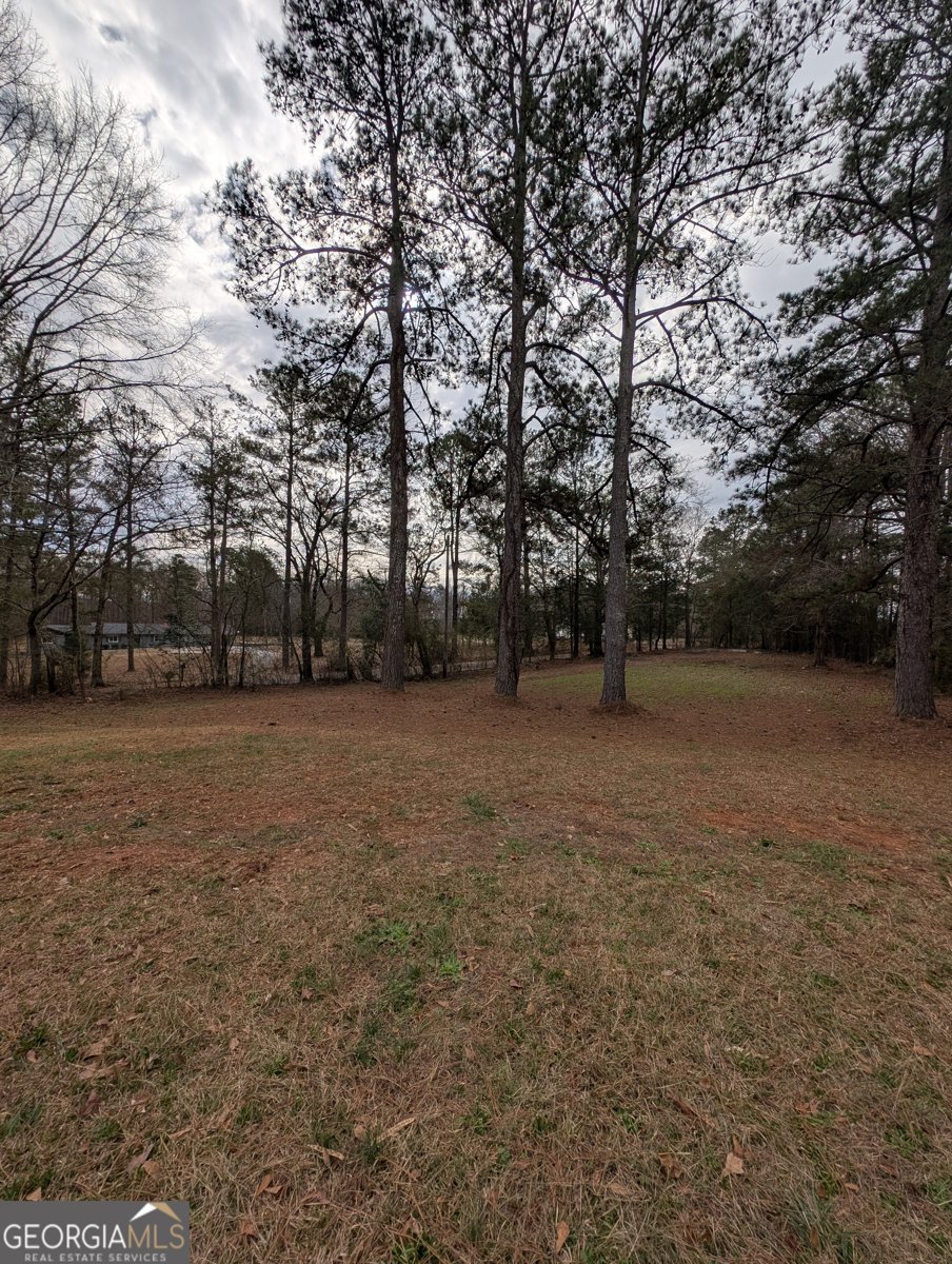 11080 White House Parkway Woodbury - Photo 10