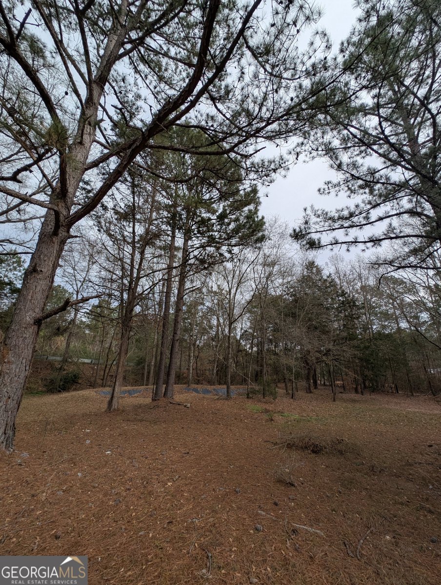 11080 White House Parkway Woodbury - Photo 33