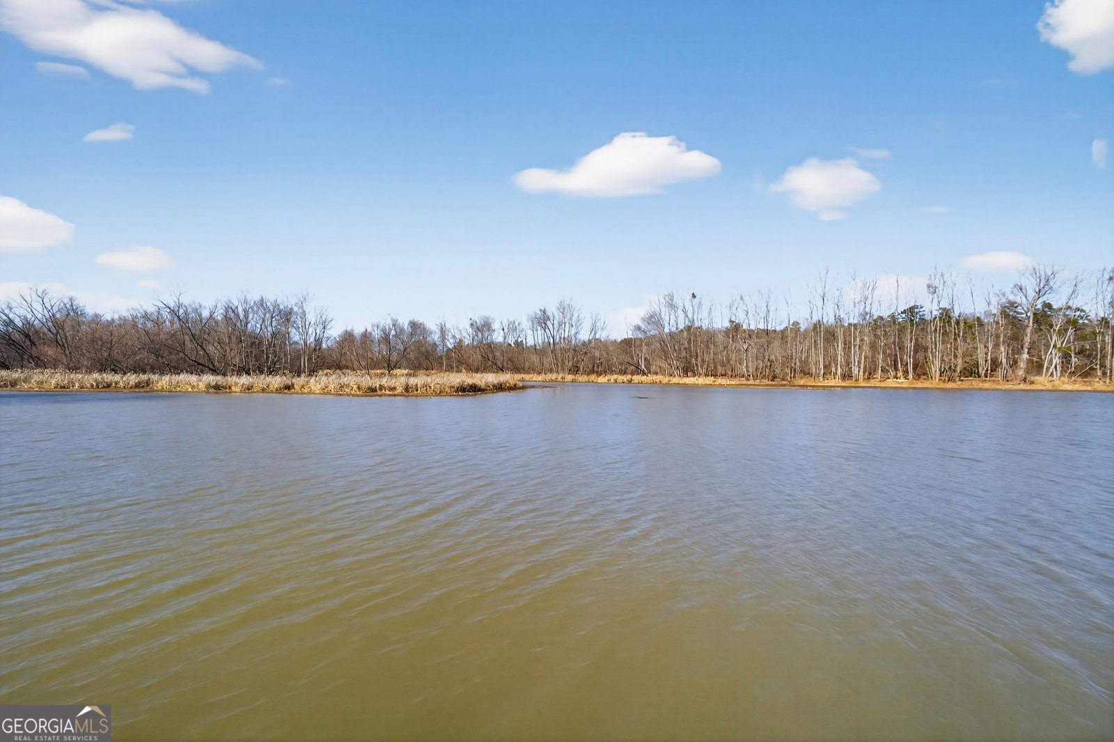 424 Henry Higgins Road Jackson - Photo 28