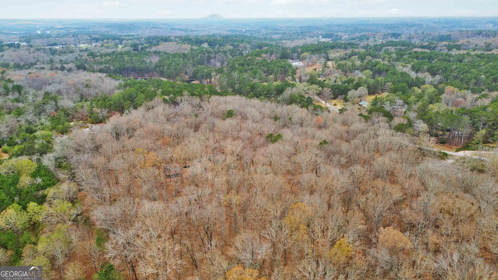 1060 NW Bethel Rd Conyers - Photo 36