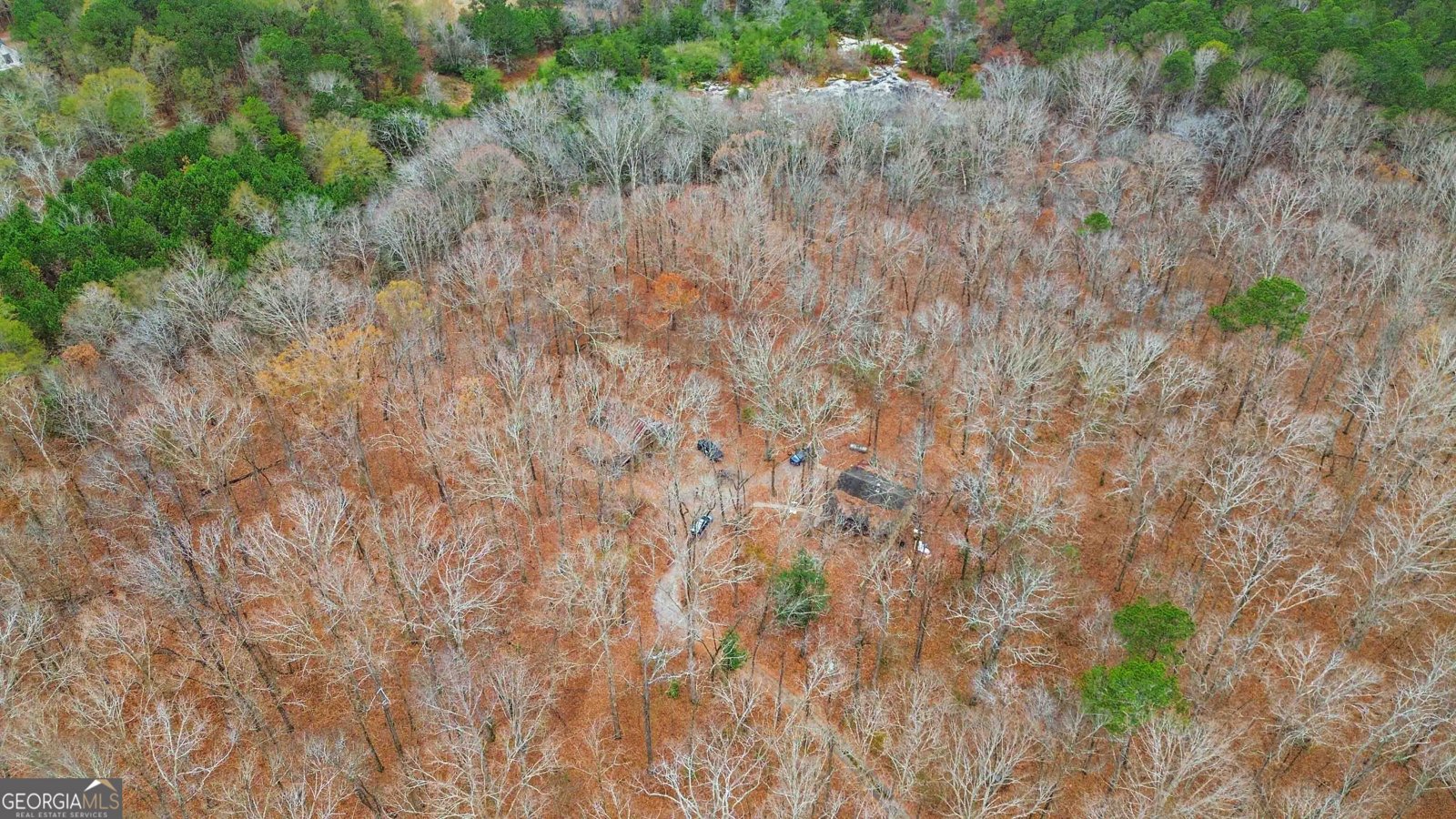 1060 NW Bethel Rd Conyers - Photo 39