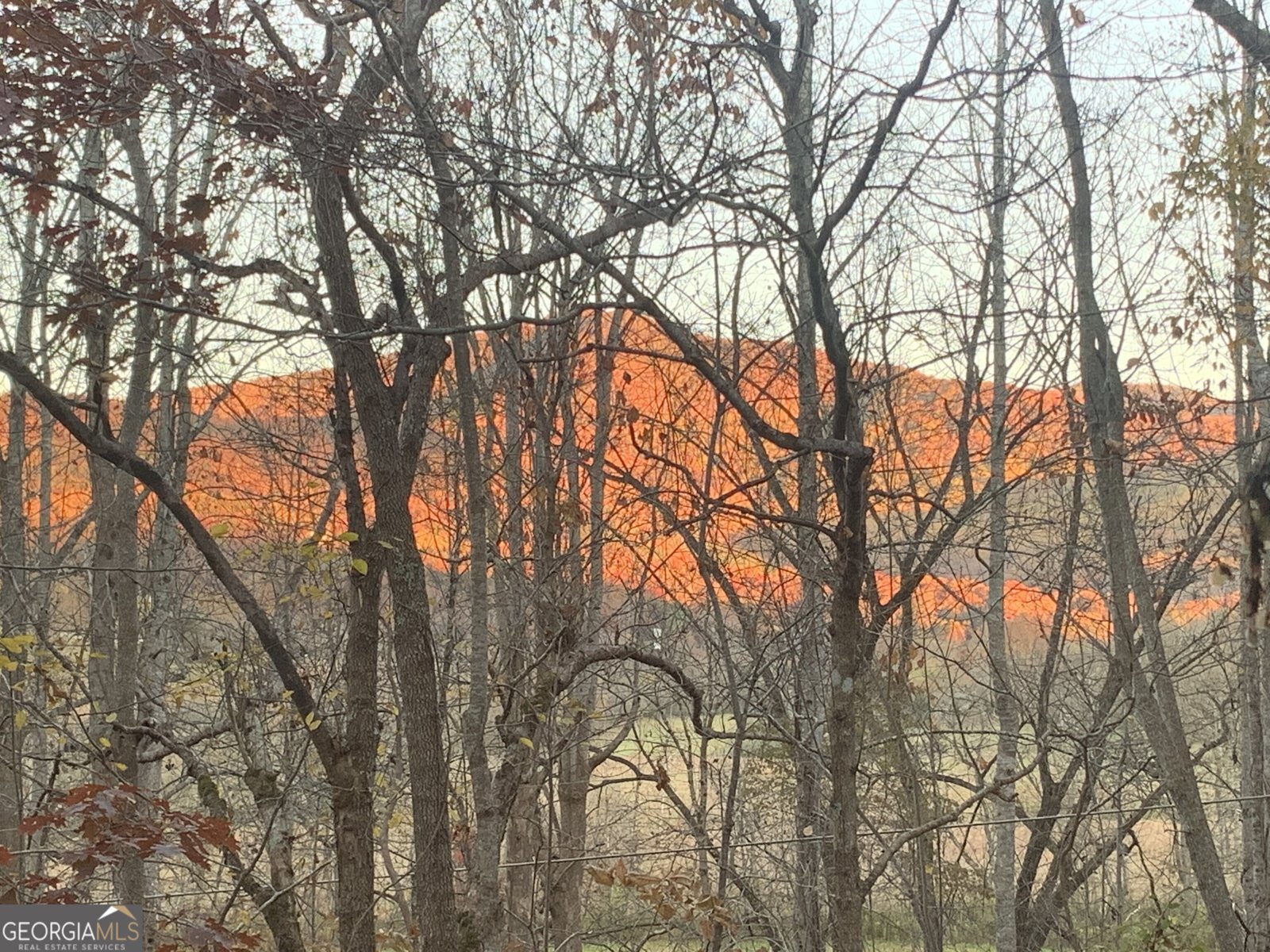 1637 Townsend Mill Road Young Harris - Photo 56