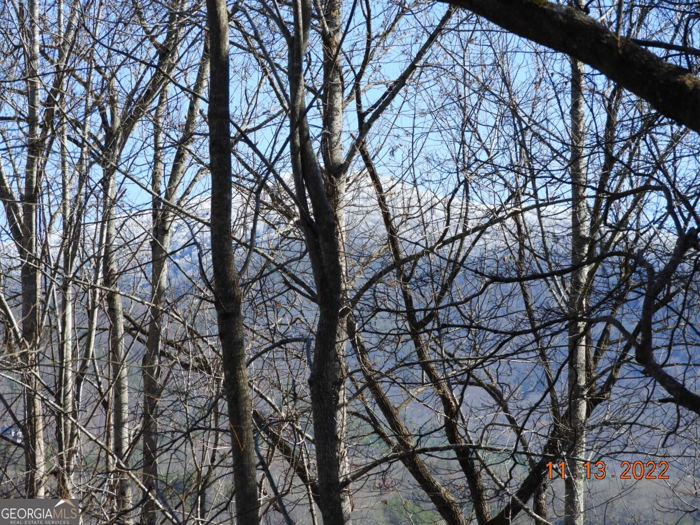 1637 Townsend Mill Road Young Harris - Photo 57