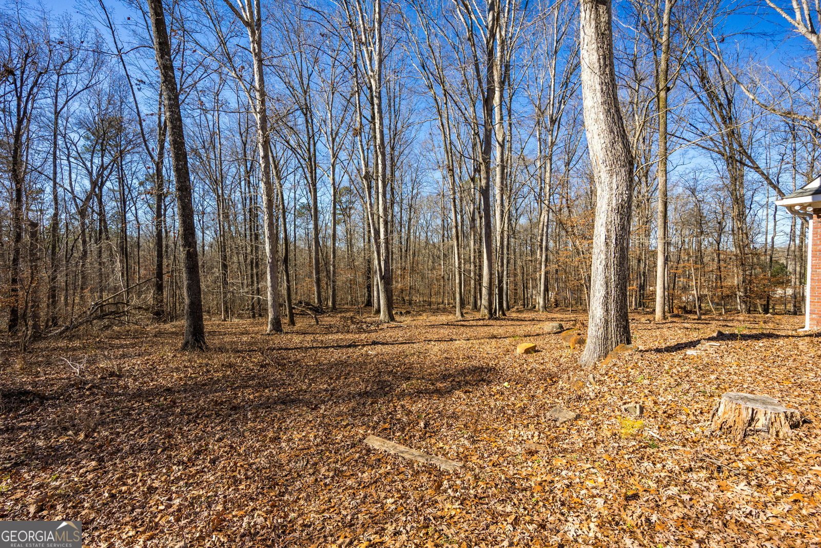 179 Stone Edge Drive Gray - Photo 31