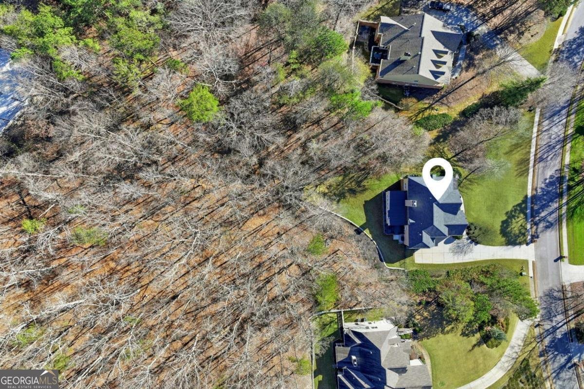 435 Oak Forest Drive Dawsonville - Photo 46