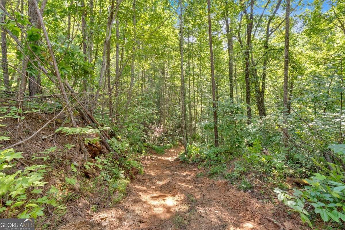 196 Whitestone Drive Talking Rock - Photo 45