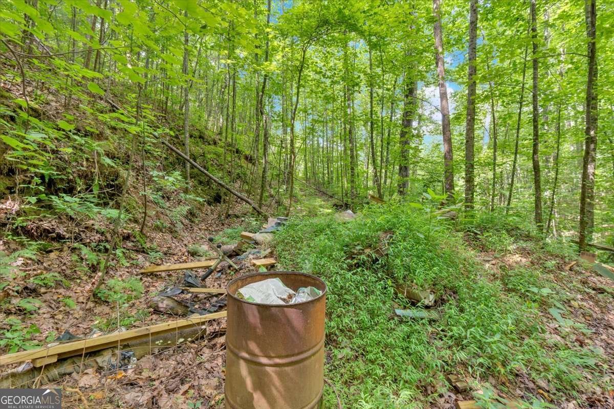 196 Whitestone Drive Talking Rock - Photo 49