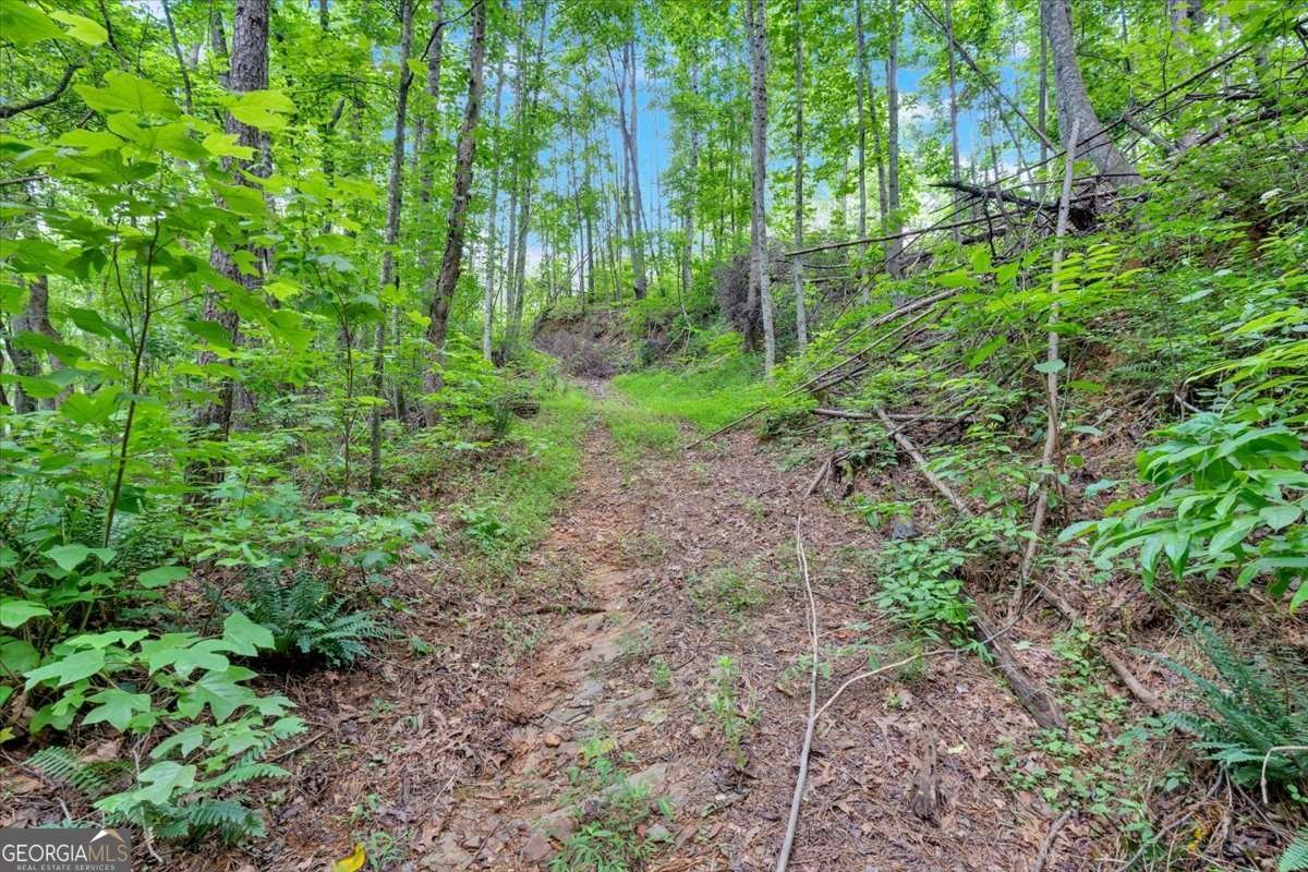 196 Whitestone Drive Talking Rock - Photo 50