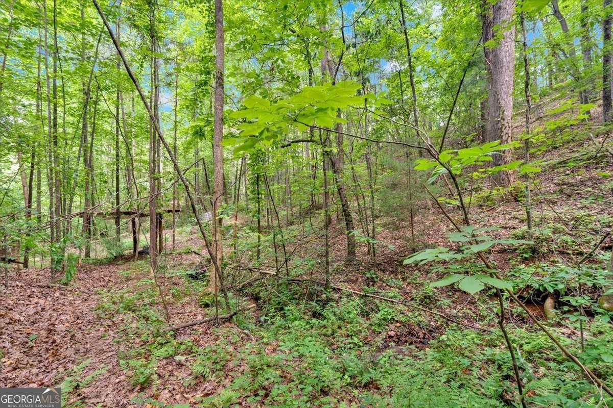 196 Whitestone Drive Talking Rock - Photo 51