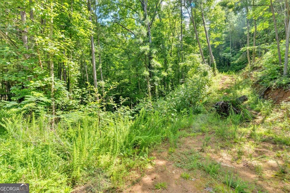 196 Whitestone Drive Talking Rock - Photo 54