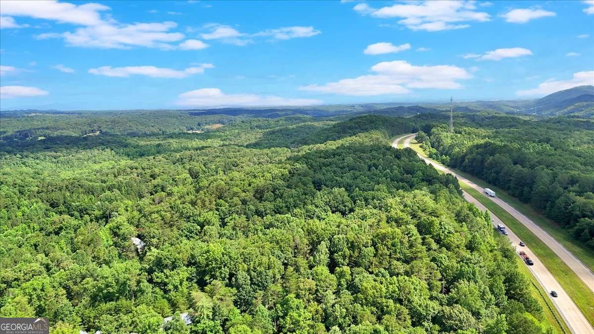 196 Whitestone Drive Talking Rock - Photo 55