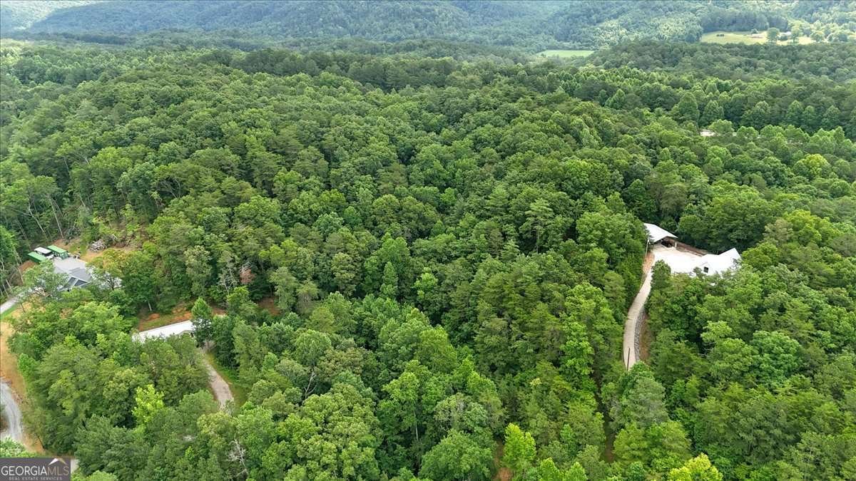 196 Whitestone Drive Talking Rock - Photo 57