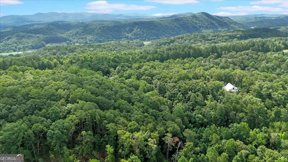 196 Whitestone Drive Talking Rock - Photo 58