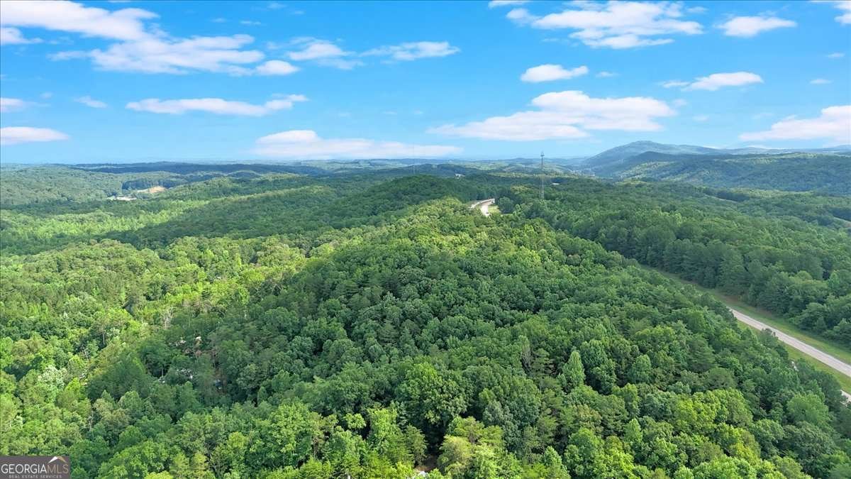 196 Whitestone Drive Talking Rock - Photo 59