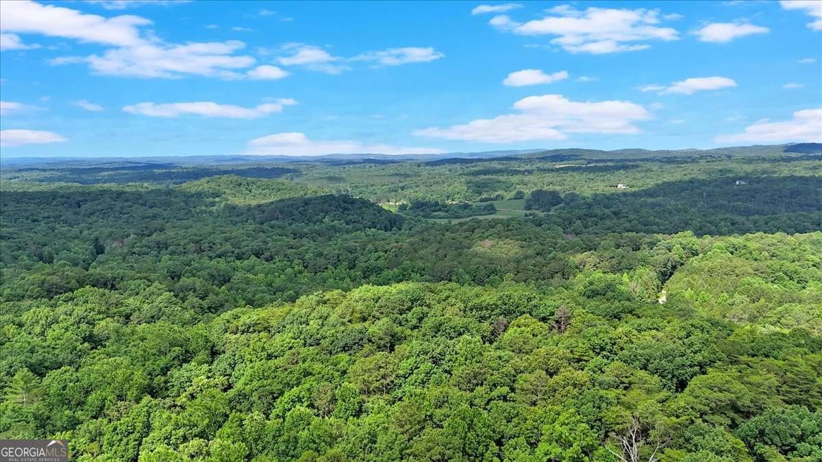 196 Whitestone Drive Talking Rock - Photo 60