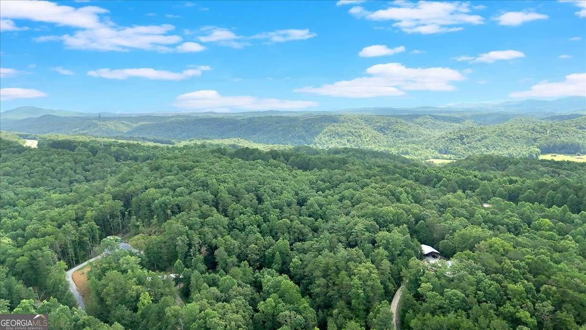 196 Whitestone Drive Talking Rock - Photo 61