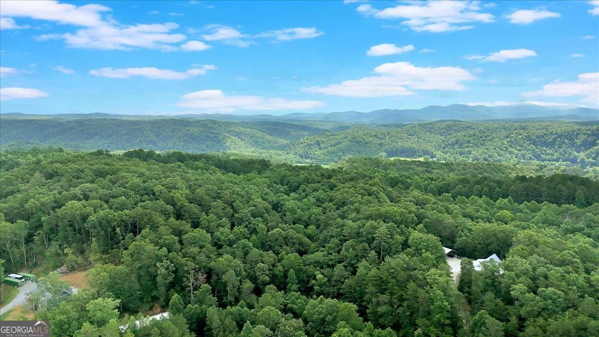 196 Whitestone Drive Talking Rock - Photo 62