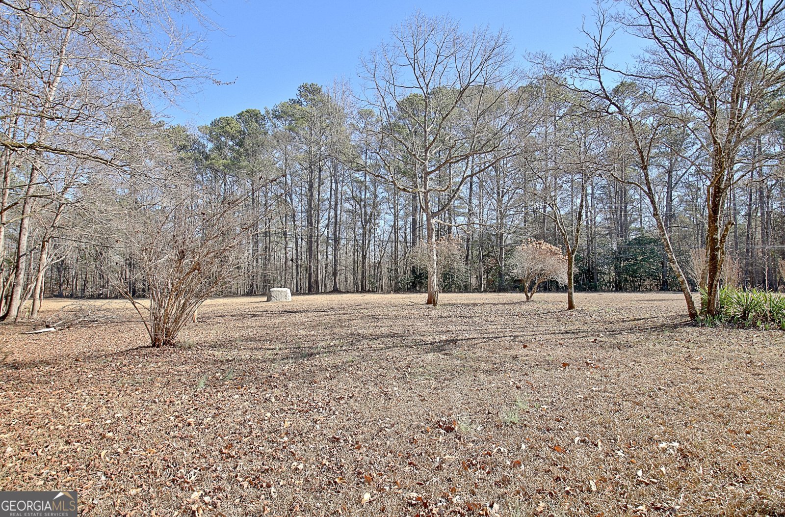 155 Dana Drive Fayetteville - Photo 60