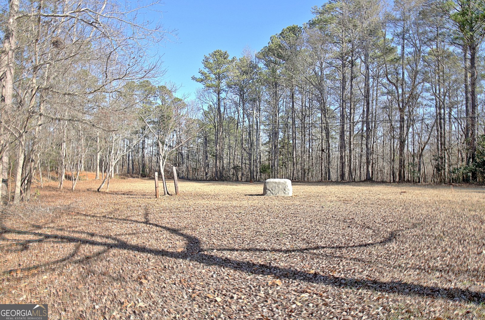 155 Dana Drive Fayetteville - Photo 61