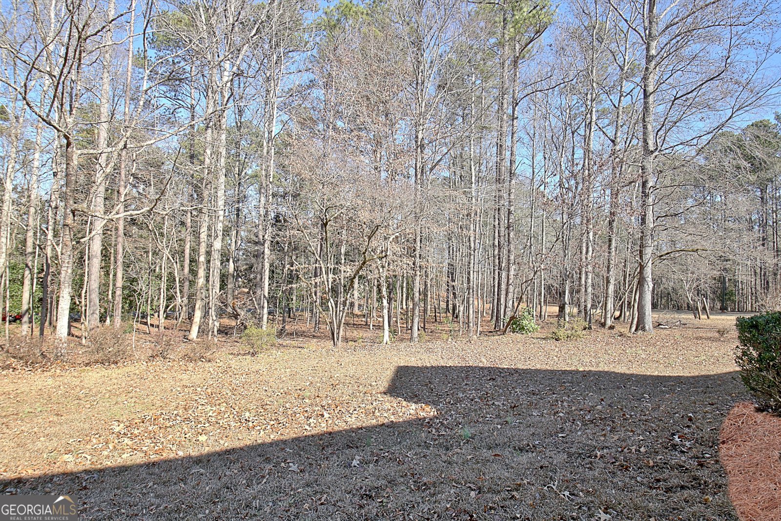 155 Dana Drive Fayetteville - Photo 63