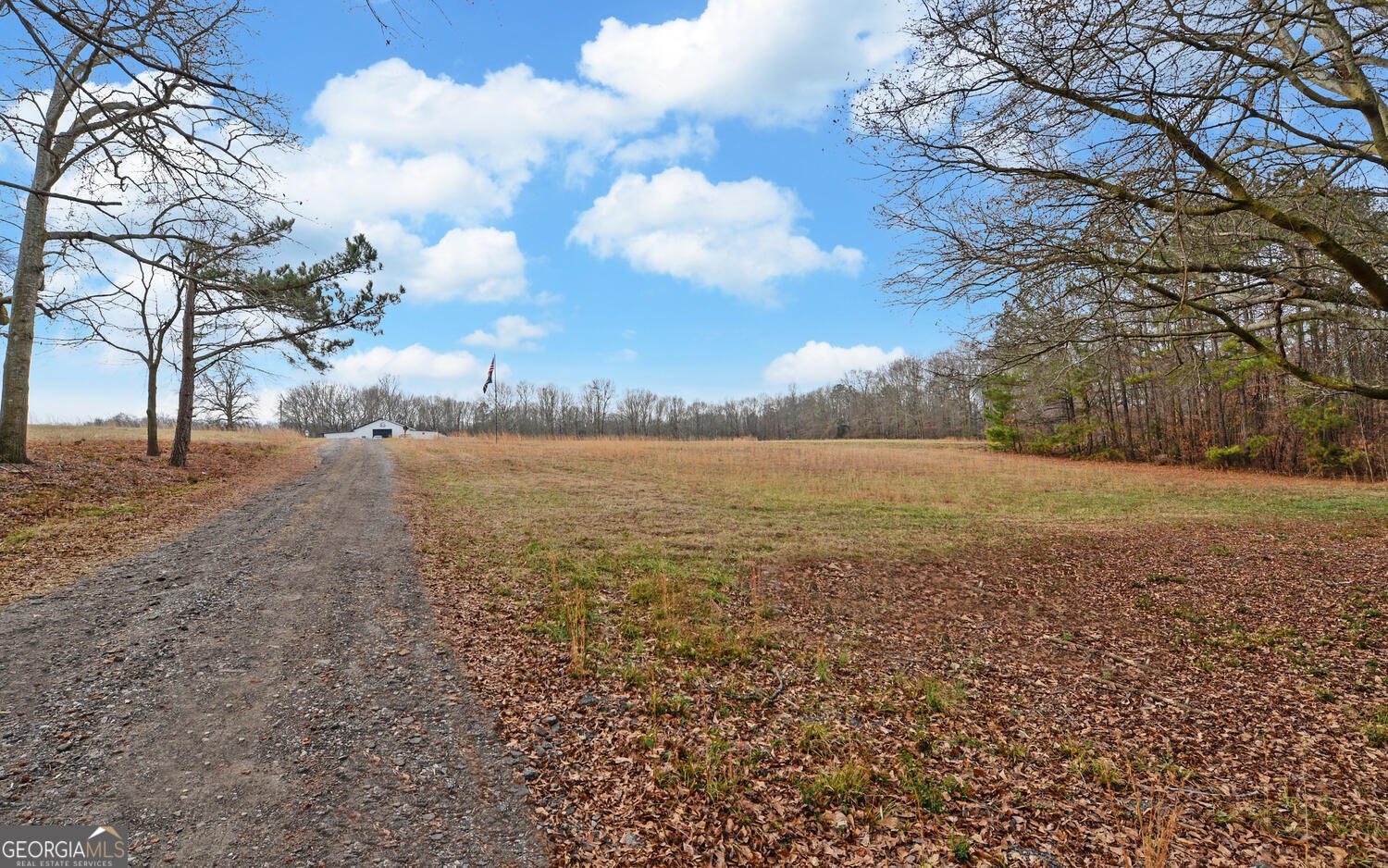3798 Bethany Bowersville Road Canon - Photo 34
