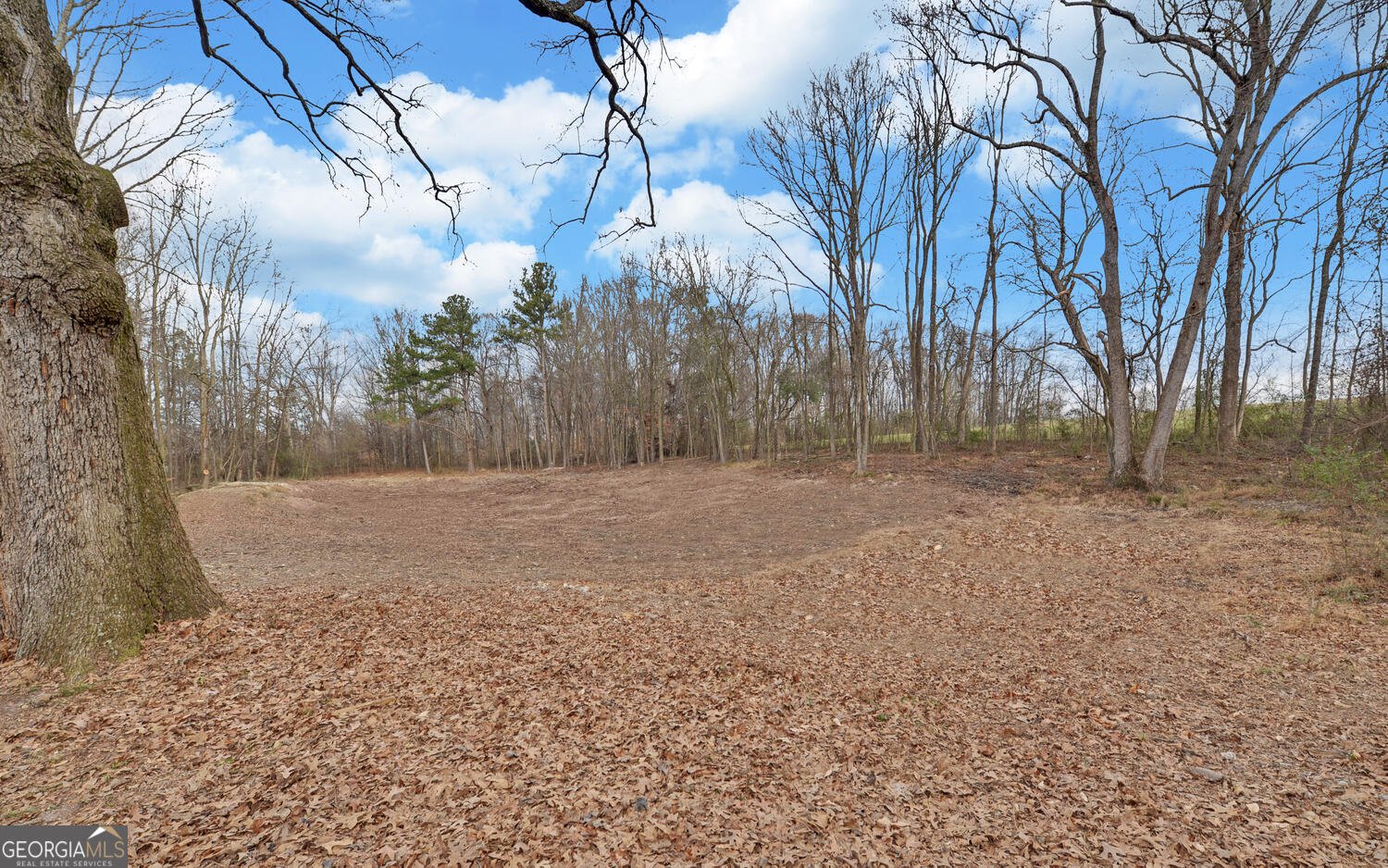 3798 Bethany Bowersville Road Canon - Photo 35