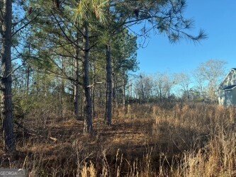 4381 Nessmith Road Statesboro - Photo 11