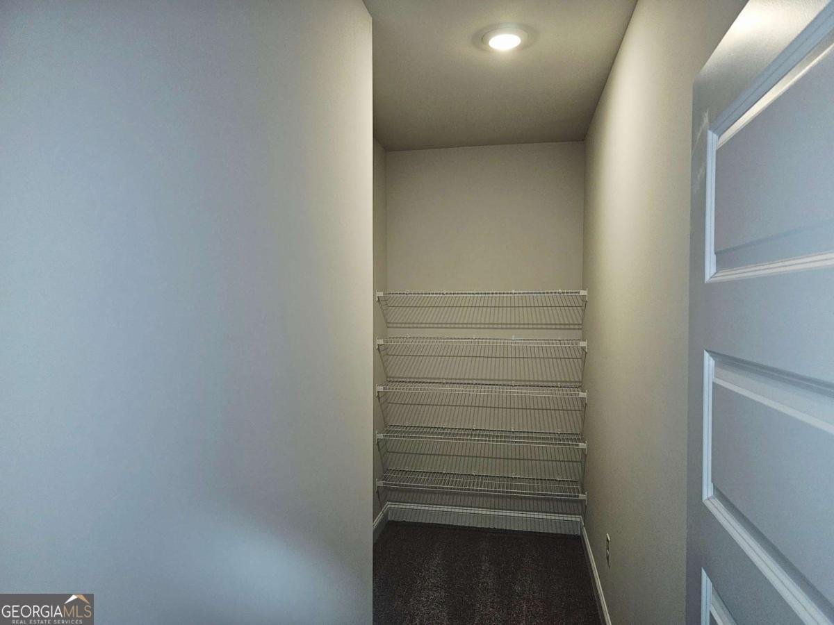 153 Scarlett Place Drive Bowdon - Photo 10