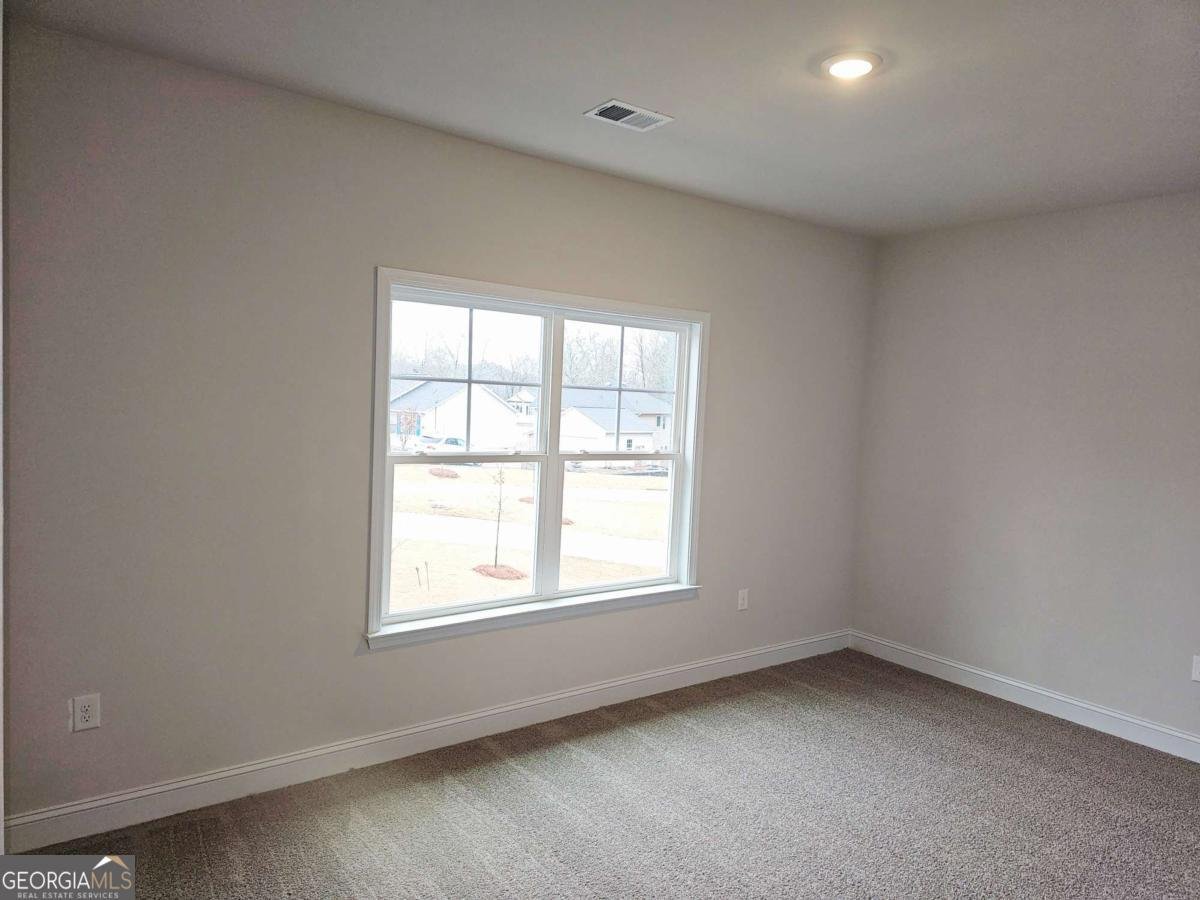 153 Scarlett Place Drive Bowdon - Photo 9