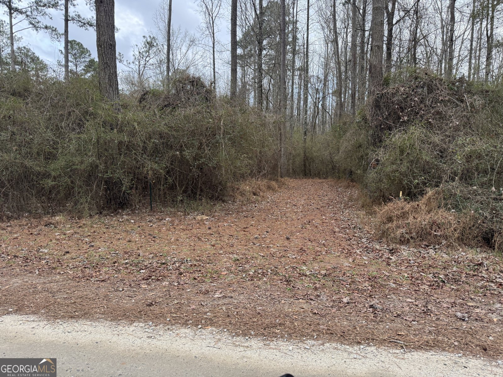 580 I B Howard Road Williamson - Photo 109