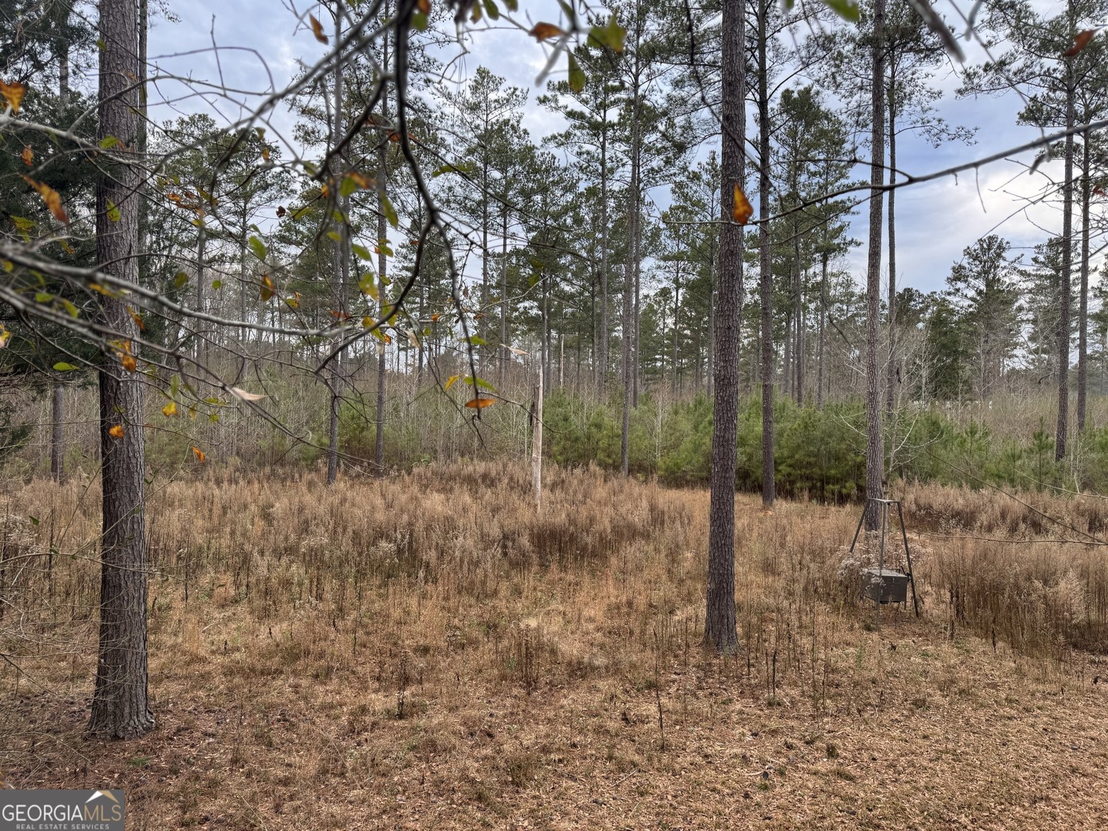 580 I B Howard Road Williamson - Photo 110