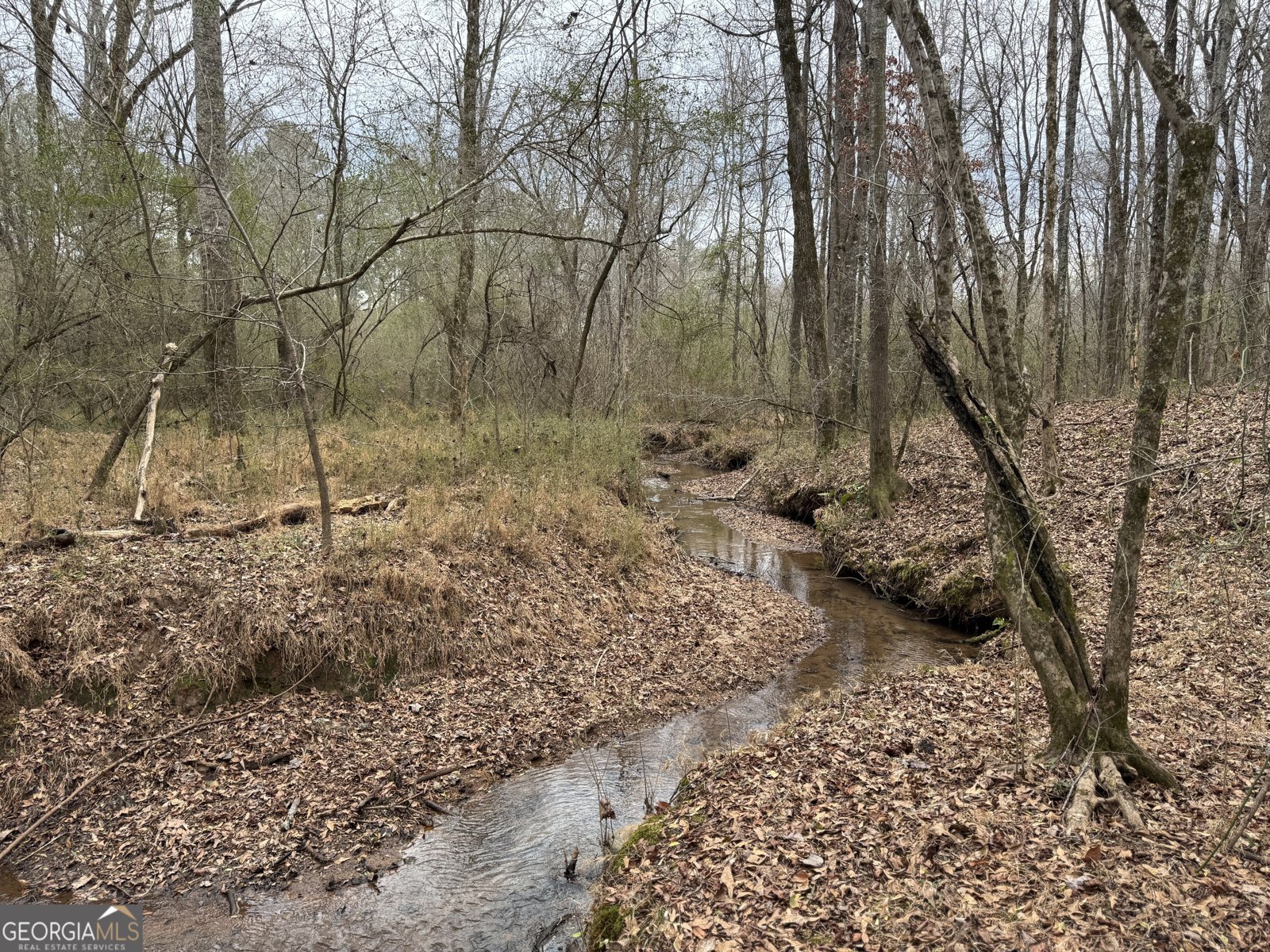 580 I B Howard Road Williamson - Photo 112