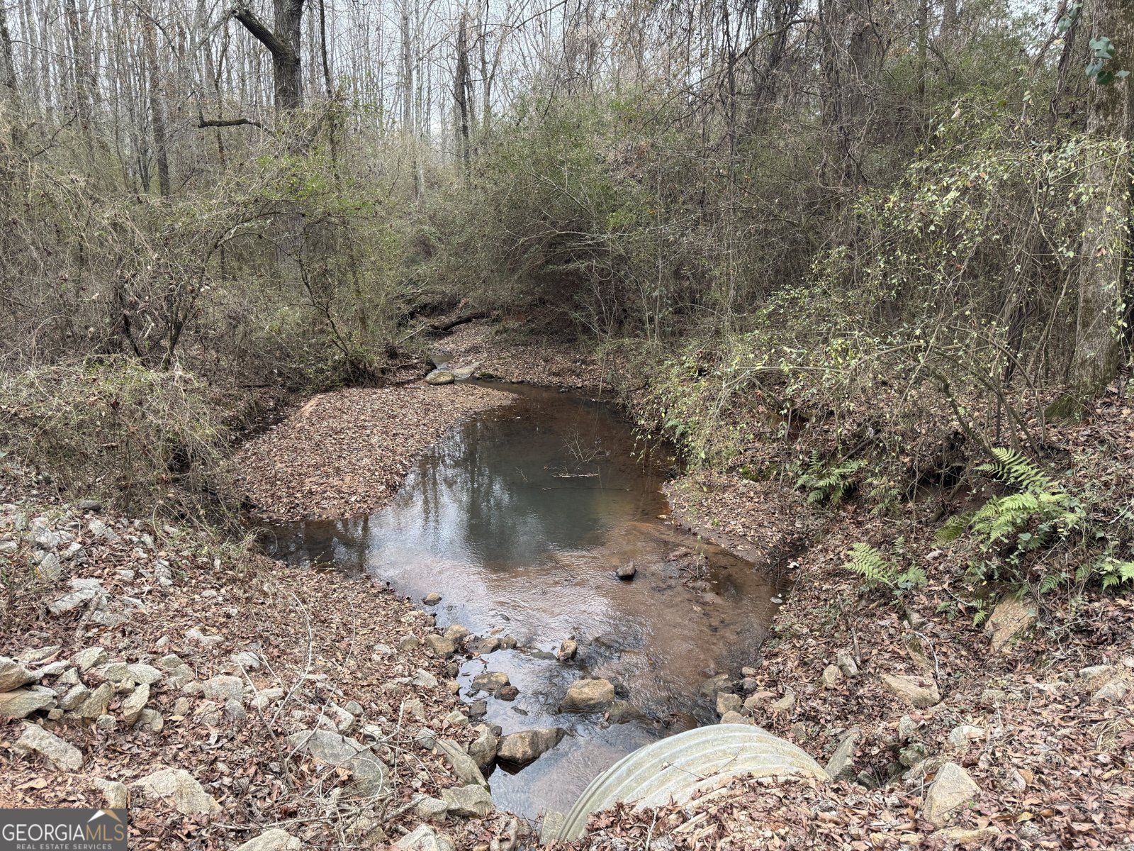 580 I B Howard Road Williamson - Photo 113