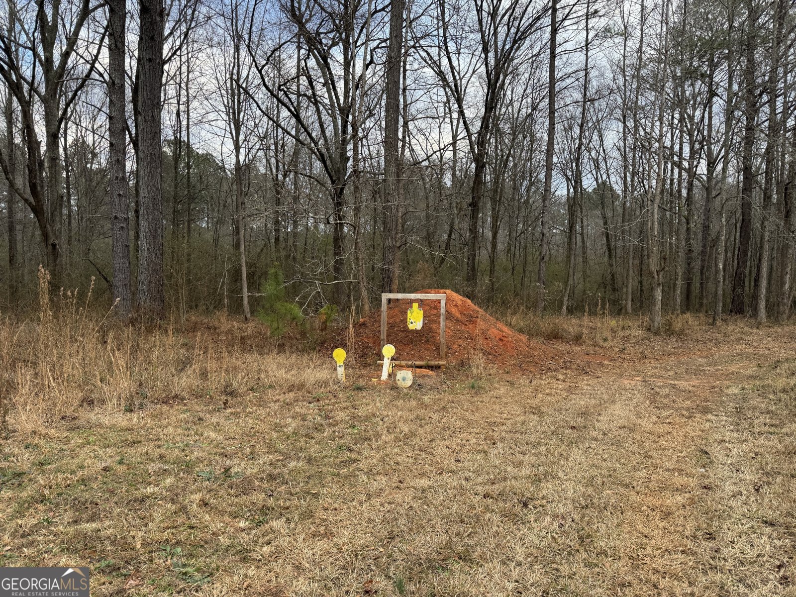 580 I B Howard Road Williamson - Photo 114