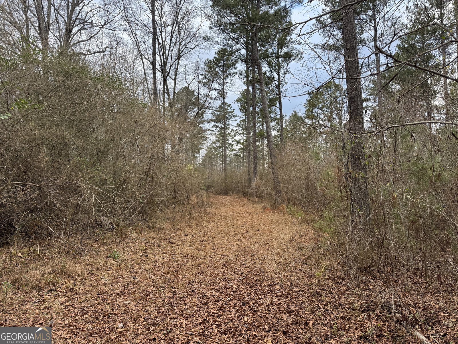 580 I B Howard Road Williamson - Photo 115