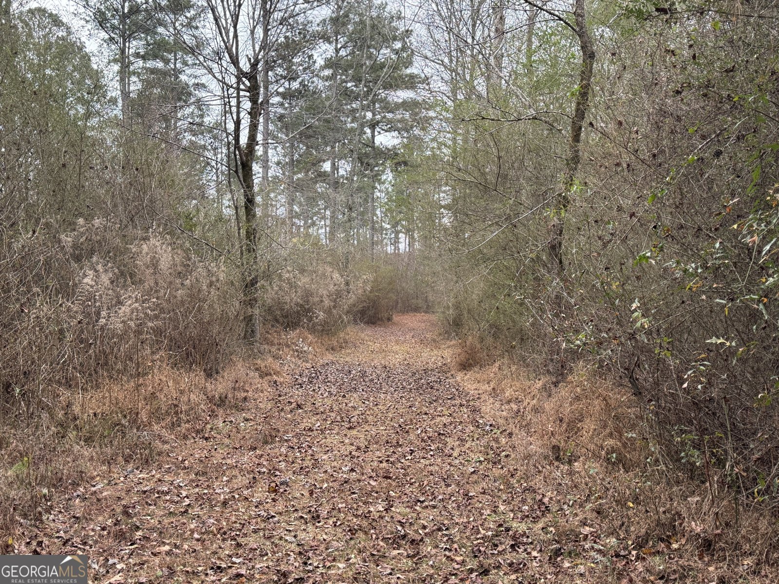 580 I B Howard Road Williamson - Photo 116