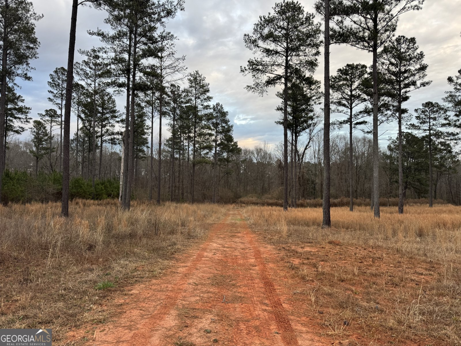 580 I B Howard Road Williamson - Photo 117