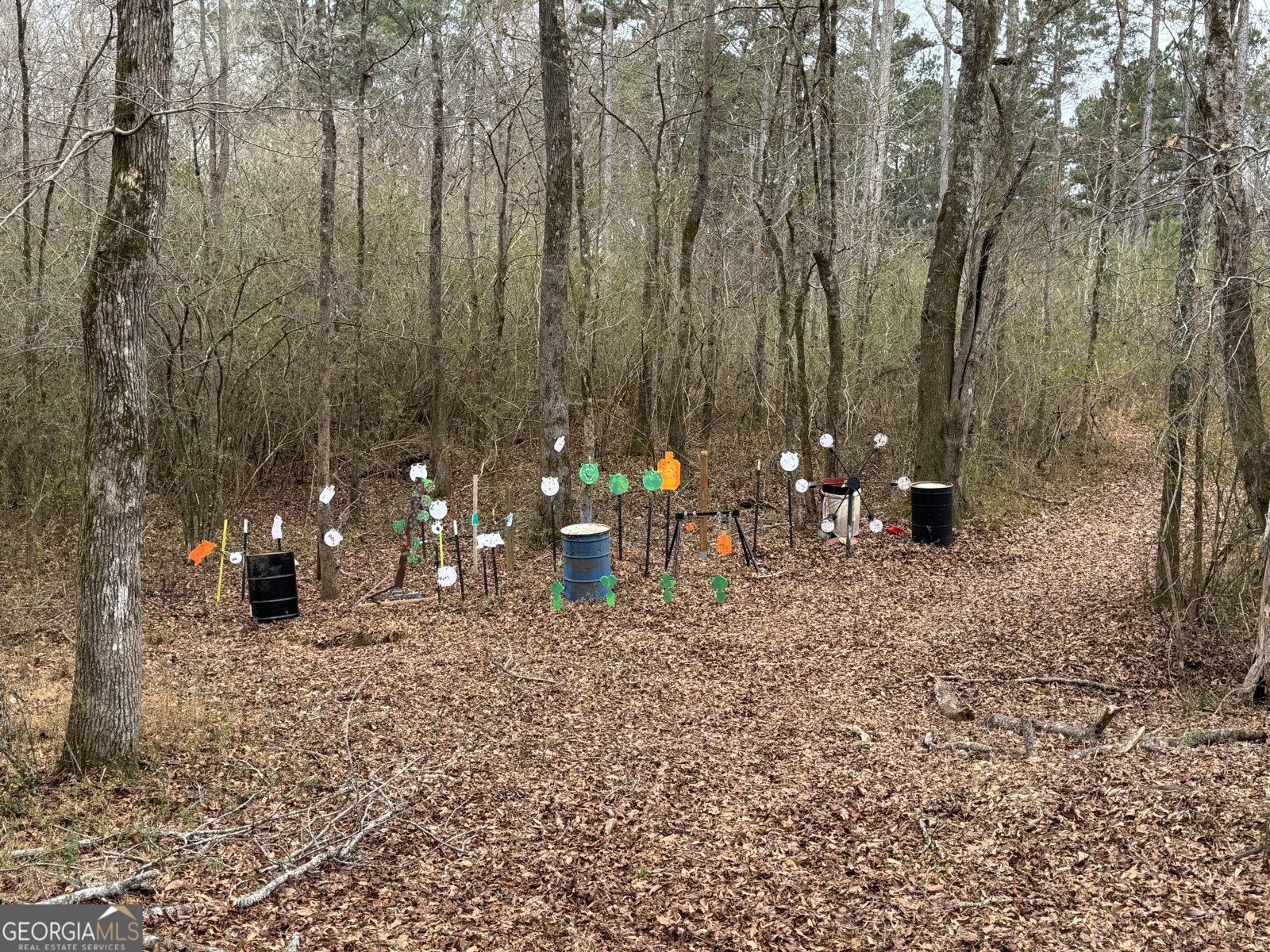 580 I B Howard Road Williamson - Photo 118