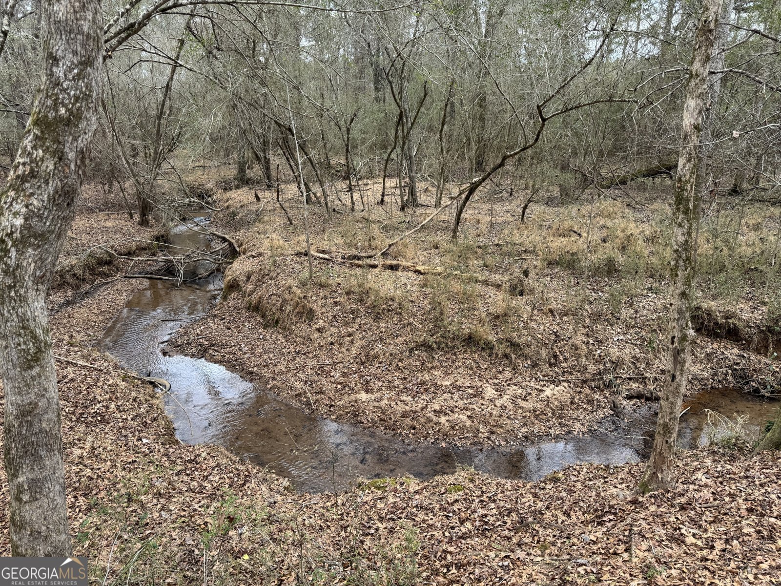 580 I B Howard Road Williamson - Photo 119