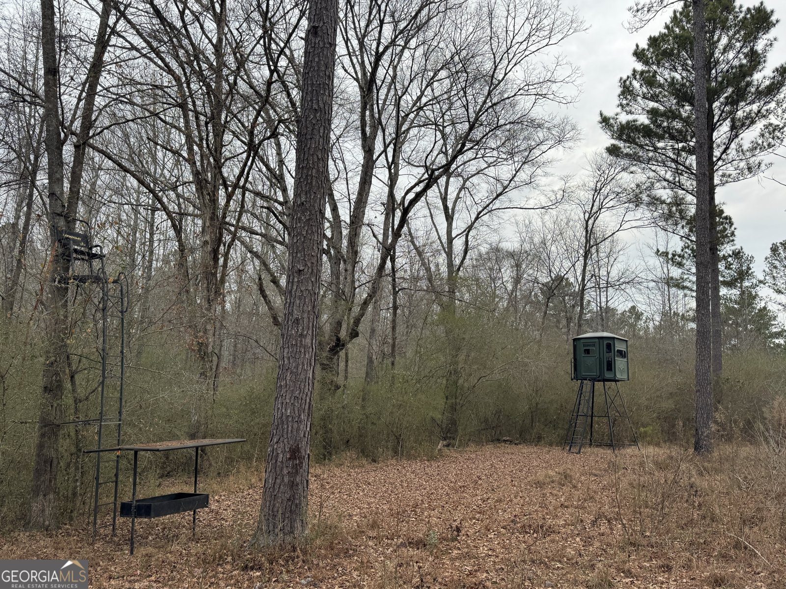 580 I B Howard Road Williamson - Photo 120