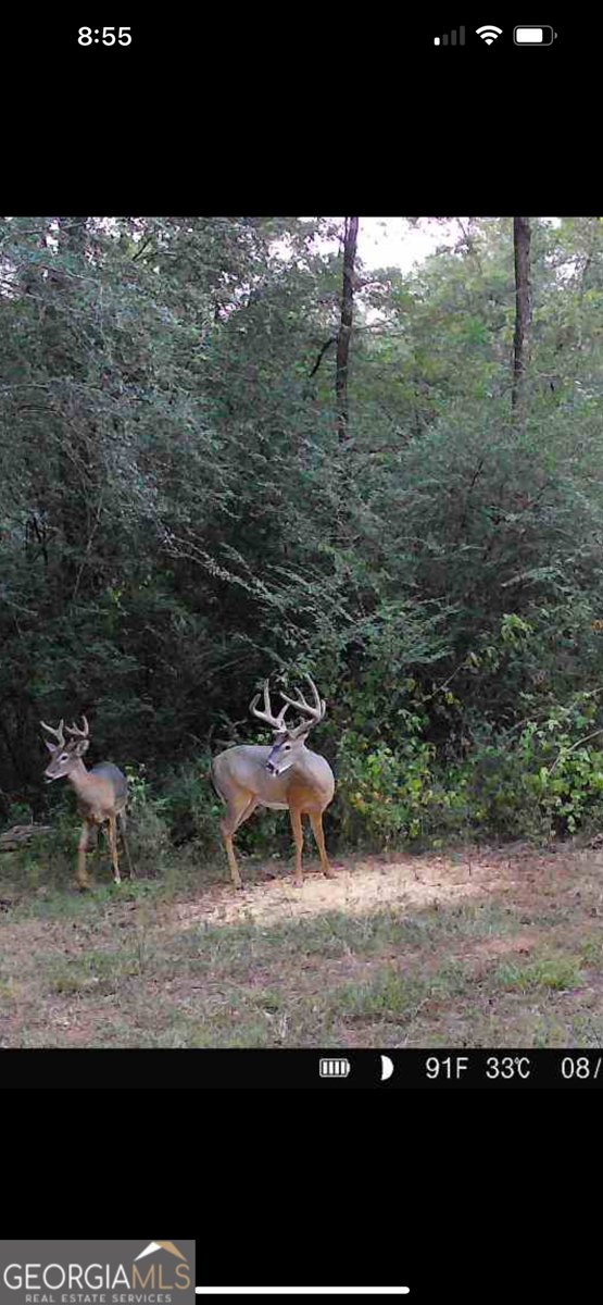 580 I B Howard Road Williamson - Photo 121