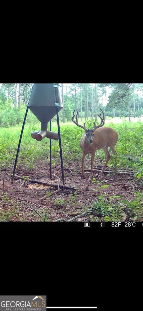 580 I B Howard Road Williamson - Photo 122