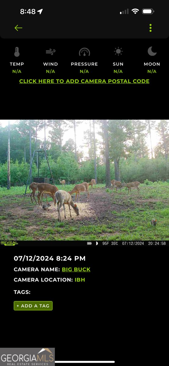 580 I B Howard Road Williamson - Photo 123